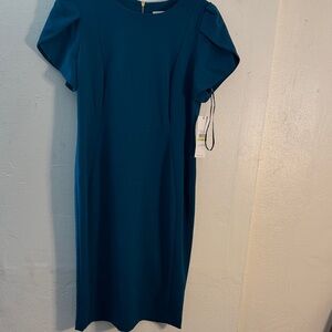 Calvin Klein Bleu Dress size 14